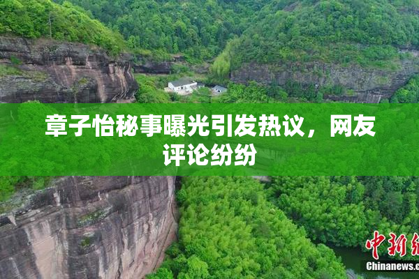章子怡秘事曝光引发热议，网友评论纷纷