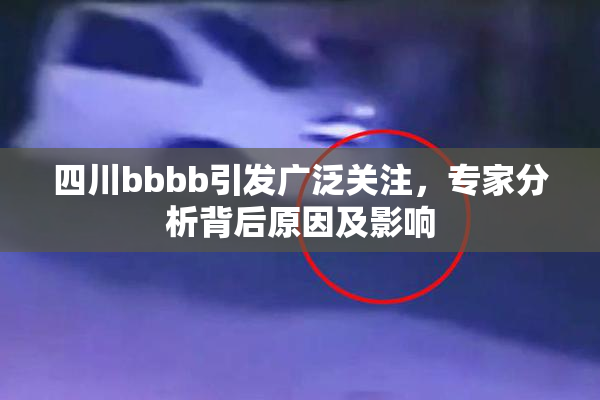 四川bbbb引发广泛关注，专家分析背后原因及影响