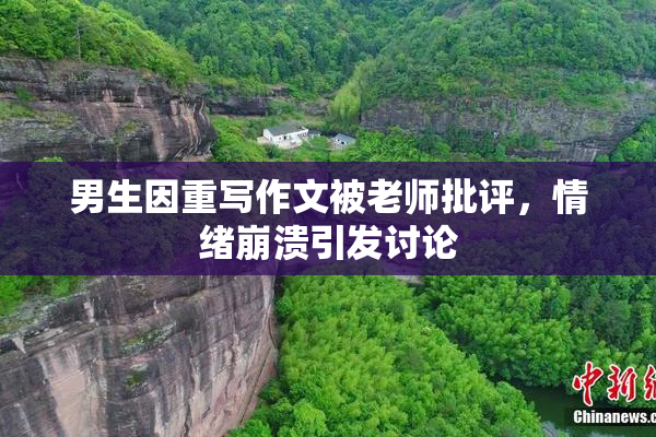 男生因重写作文被老师批评，情绪崩溃引发讨论