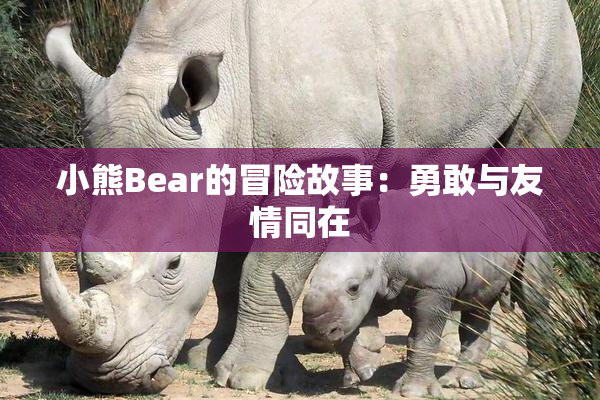 小熊Bear的冒险故事：勇敢与友情同在