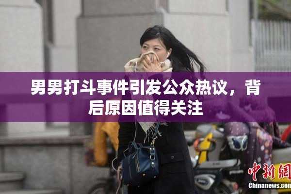 男男打斗事件引发公众热议，背后原因值得关注