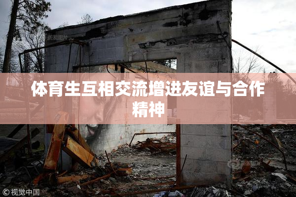 体育生互相交流增进友谊与合作精神