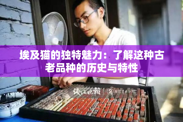 埃及猫的独特魅力：了解这种古老品种的历史与特性