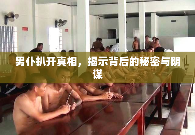 男仆扒开真相，揭示背后的秘密与阴谋