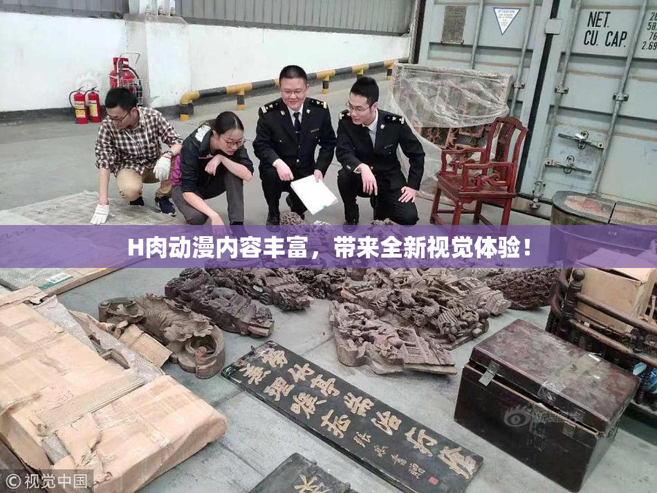 H肉动漫内容丰富，带来全新视觉体验！