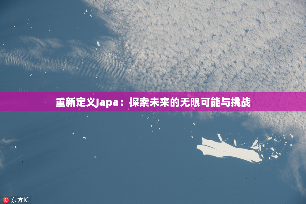 重新定义Japa：探索未来的无限可能与挑战