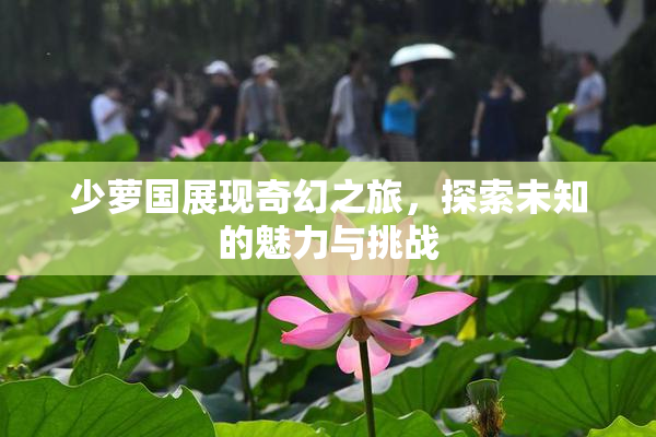 少萝国展现奇幻之旅，探索未知的魅力与挑战