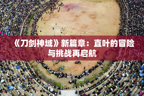 《刀剑神域》新篇章：直叶的冒险与挑战再启航