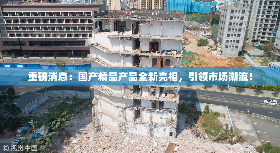 重磅消息：国产精品产品全新亮相，引领市场潮流！