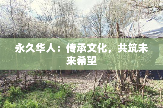 永久华人：传承文化，共筑未来希望