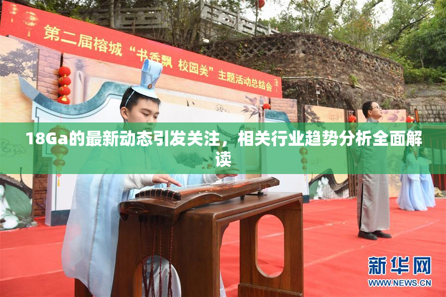 18Ga的最新动态引发关注，相关行业趋势分析全面解读