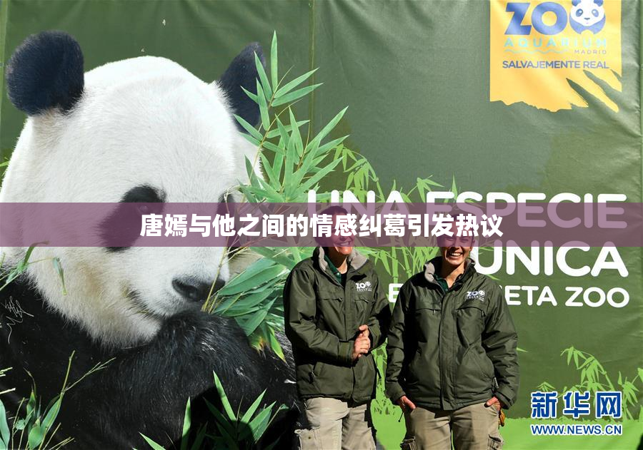 唐嫣与他之间的情感纠葛引发热议