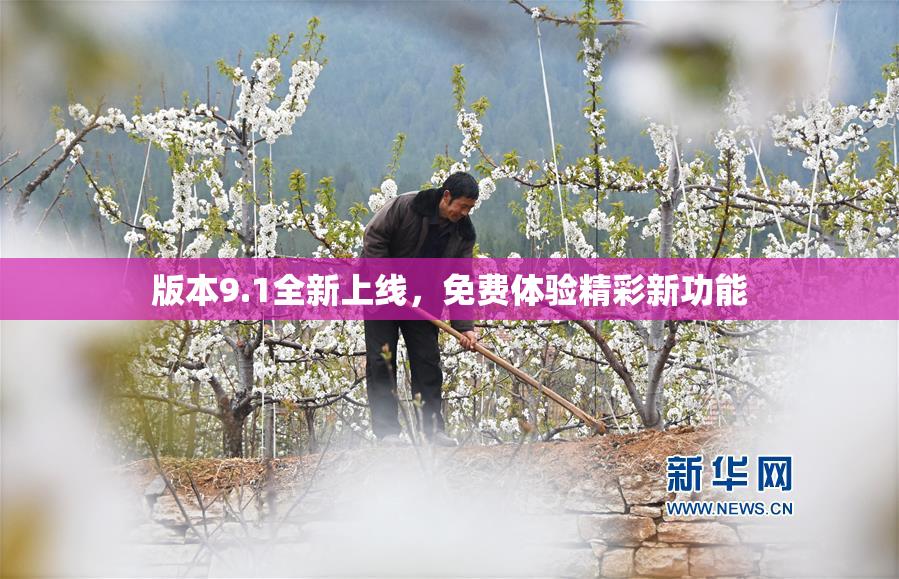 版本9.1全新上线，免费体验精彩新功能