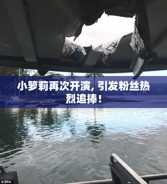 小箩莉再次开演, 引发粉丝热烈追捧！