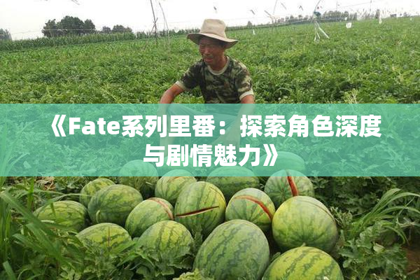 《Fate系列里番：探索角色深度与剧情魅力》