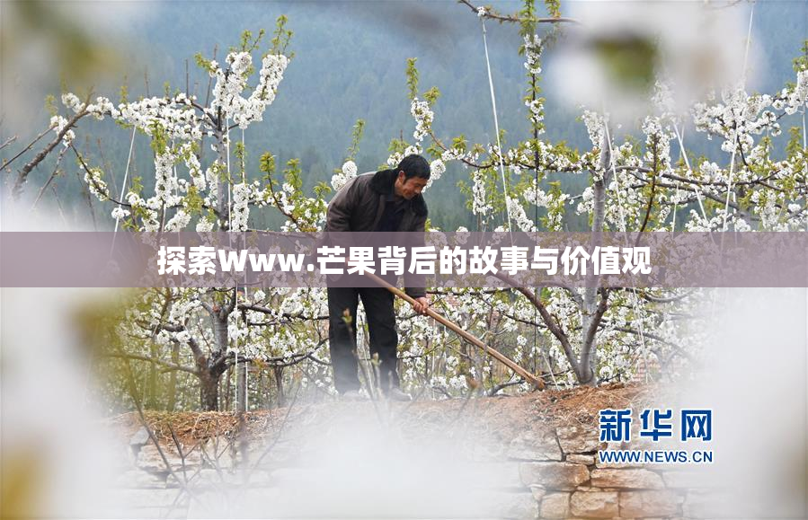 探索Www.芒果背后的故事与价值观