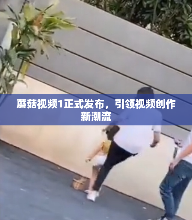 蘑菇视频1正式发布，引领视频创作新潮流