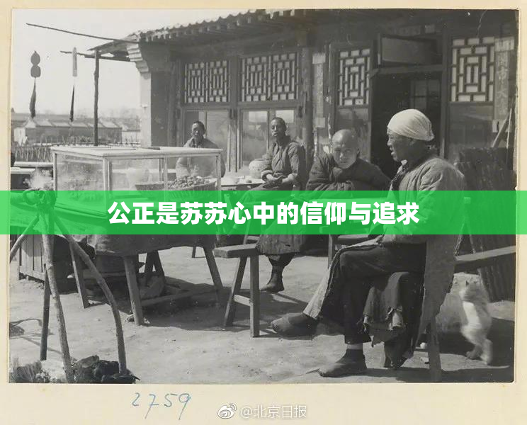 公正是苏苏心中的信仰与追求