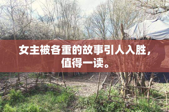 女主被各重的故事引人入胜，值得一读。