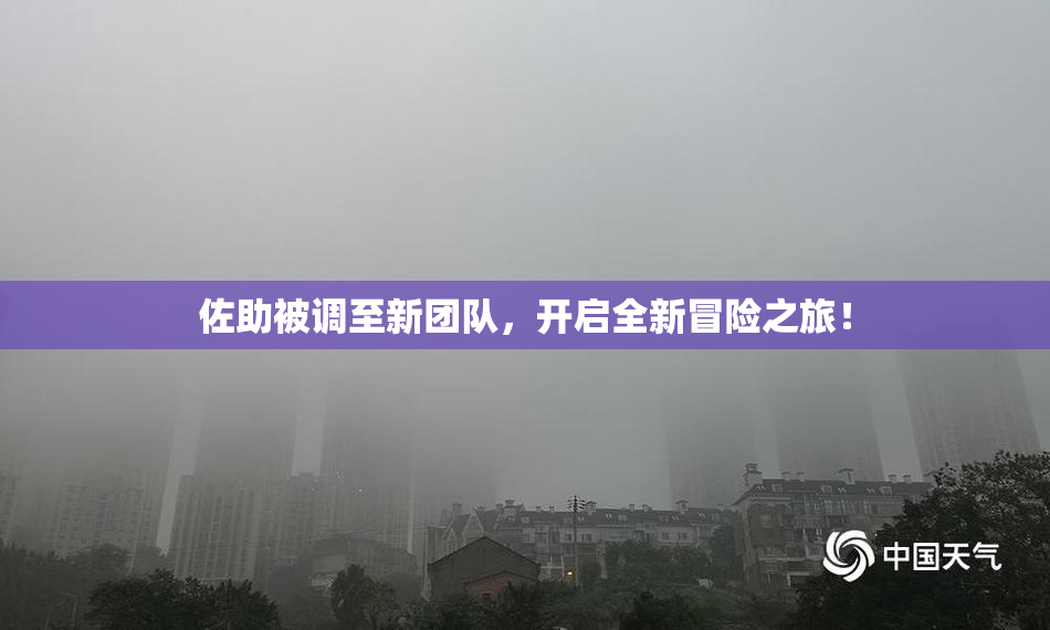 佐助被调至新团队，开启全新冒险之旅！