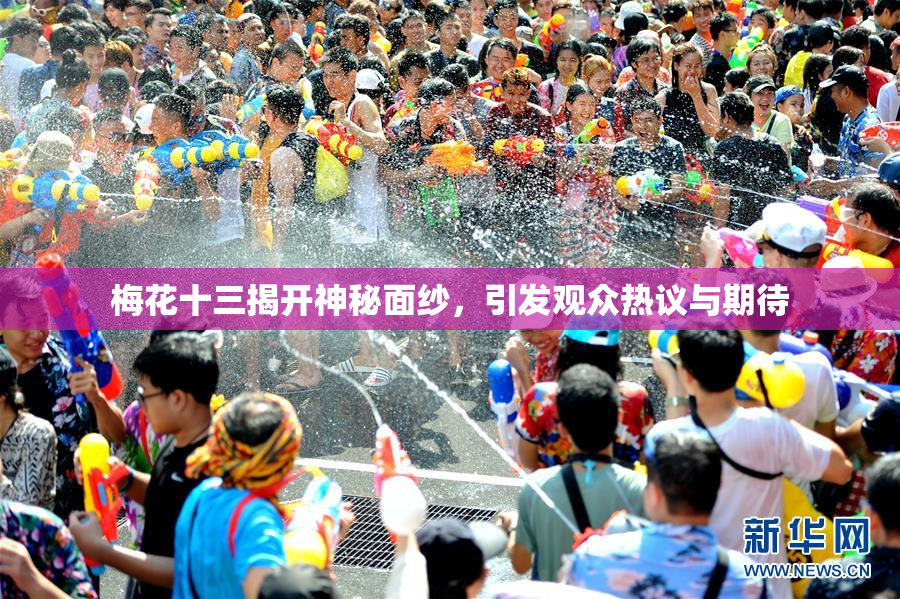 梅花十三揭开神秘面纱，引发观众热议与期待