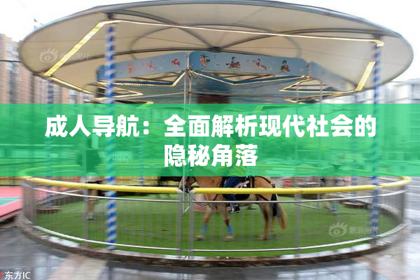 成人导航：全面解析现代社会的隐秘角落