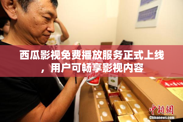 西瓜影视免费播放服务正式上线，用户可畅享影视内容