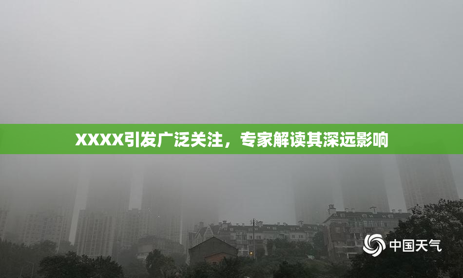XXXX引发广泛关注，专家解读其深远影响