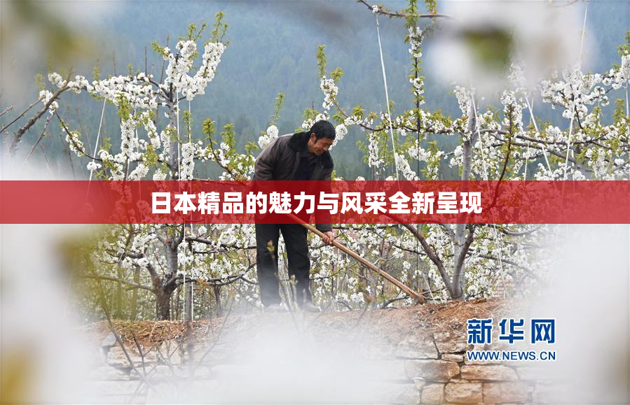 日本精品的魅力与风采全新呈现