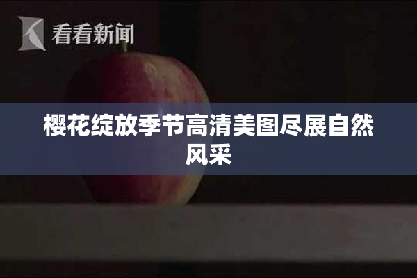 樱花绽放季节高清美图尽展自然风采