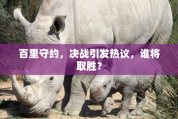 百里守约，决战引发热议，谁将取胜？