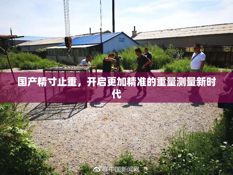 国产精寸止重，开启更加精准的重量测量新时代