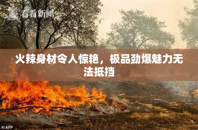 火辣身材令人惊艳，极品劲爆魅力无法抵挡