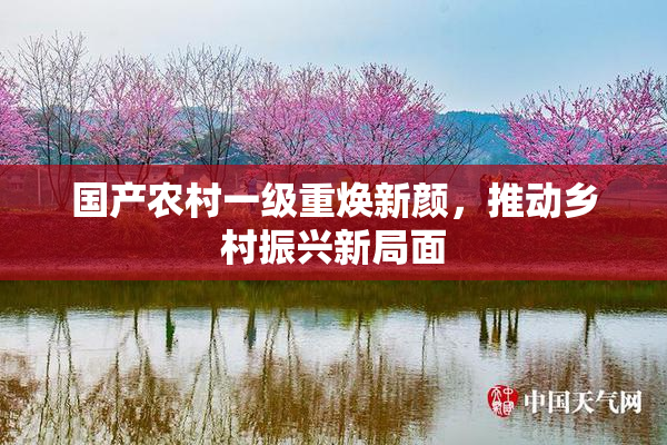 国产农村一级重焕新颜，推动乡村振兴新局面