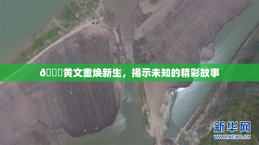 🔞黄文重焕新生，揭示未知的精彩故事
