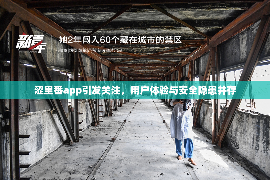 涩里番app引发关注，用户体验与安全隐患并存