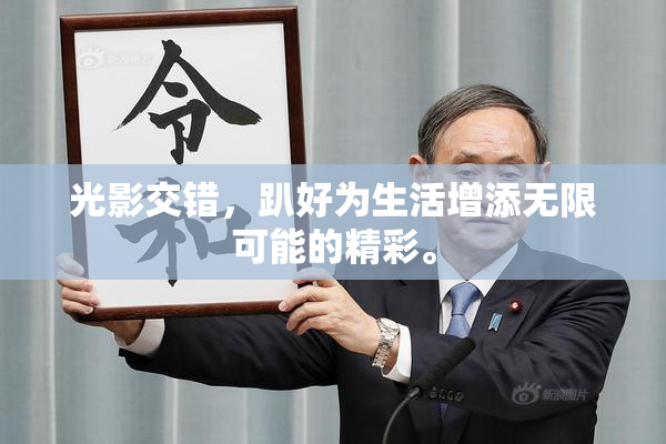 光影交错，趴好为生活增添无限可能的精彩。