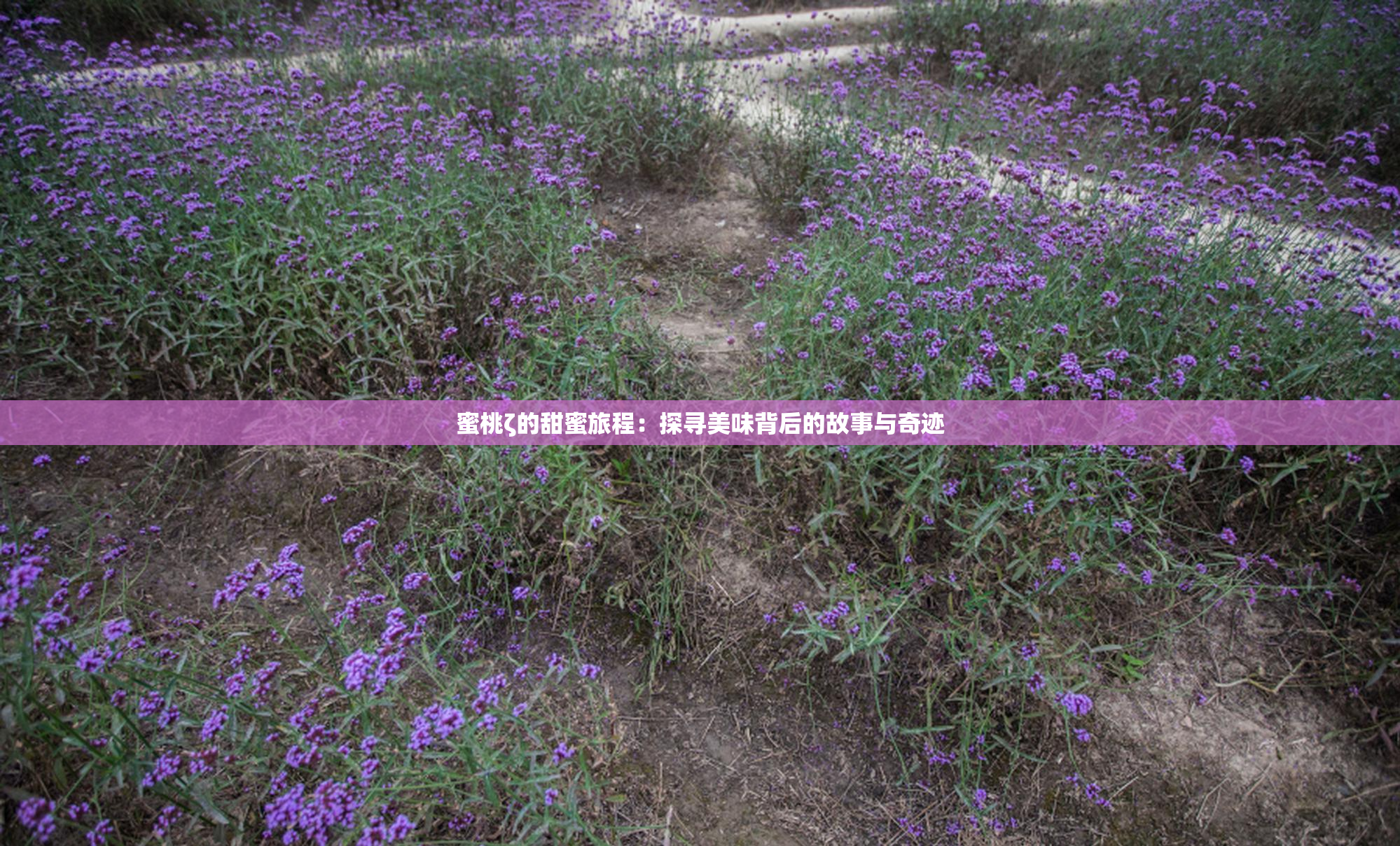 蜜桃ζ的甜蜜旅程：探寻美味背后的故事与奇迹
