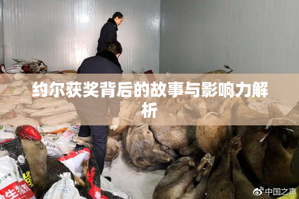 约尔获奖背后的故事与影响力解析