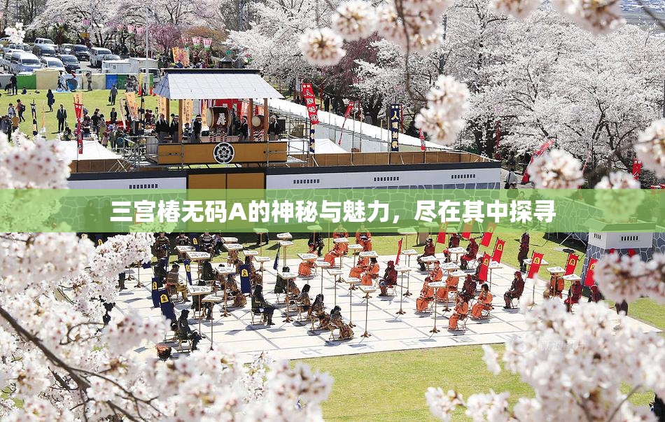 三宫椿无码A的神秘与魅力，尽在其中探寻