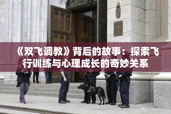 《双飞调教》背后的故事：探索飞行训练与心理成长的奇妙关系