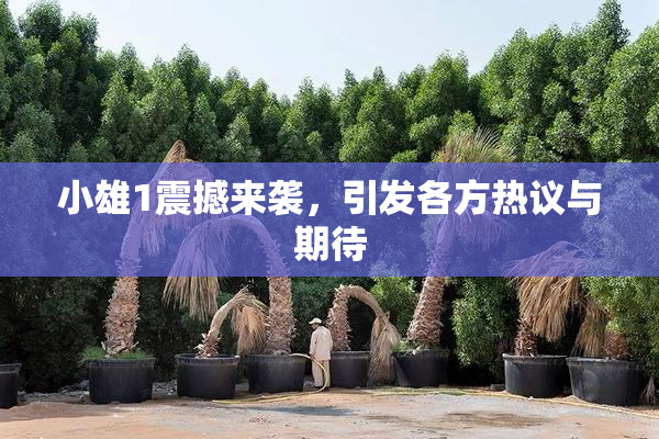 小雄1震撼来袭，引发各方热议与期待