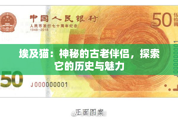 埃及猫：神秘的古老伴侣，探索它的历史与魅力