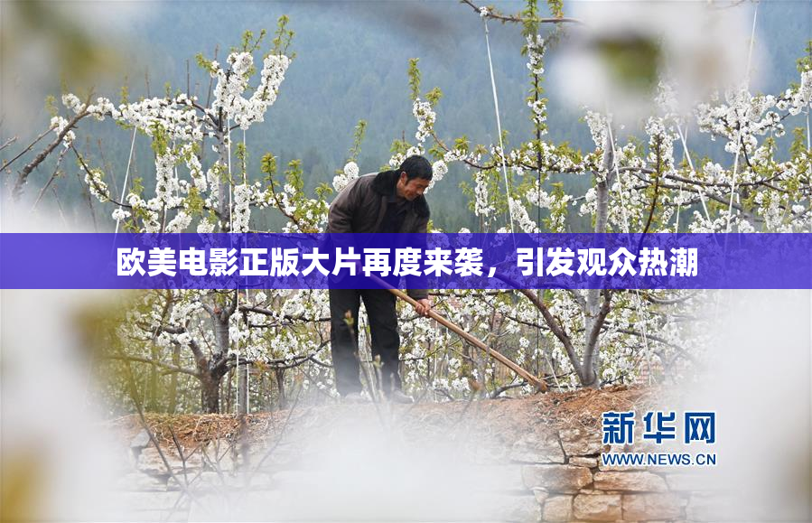 欧美电影正版大片再度来袭，引发观众热潮