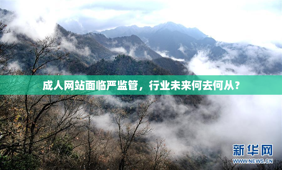 成人网站面临严监管，行业未来何去何从？
