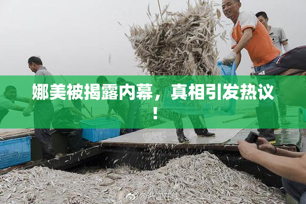 娜美被揭露内幕，真相引发热议！