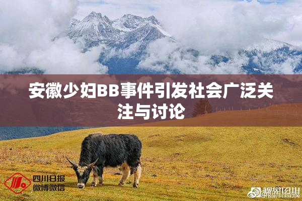 安徽少妇BB事件引发社会广泛关注与讨论