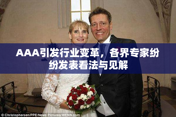 AAA引发行业变革，各界专家纷纷发表看法与见解