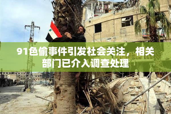 91色偷事件引发社会关注，相关部门已介入调查处理
