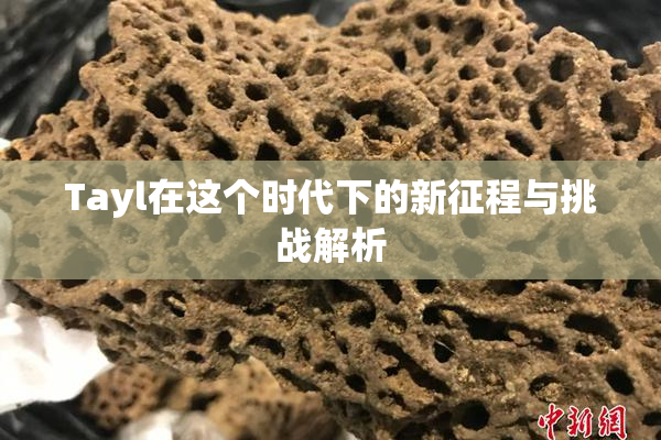 Tayl在这个时代下的新征程与挑战解析